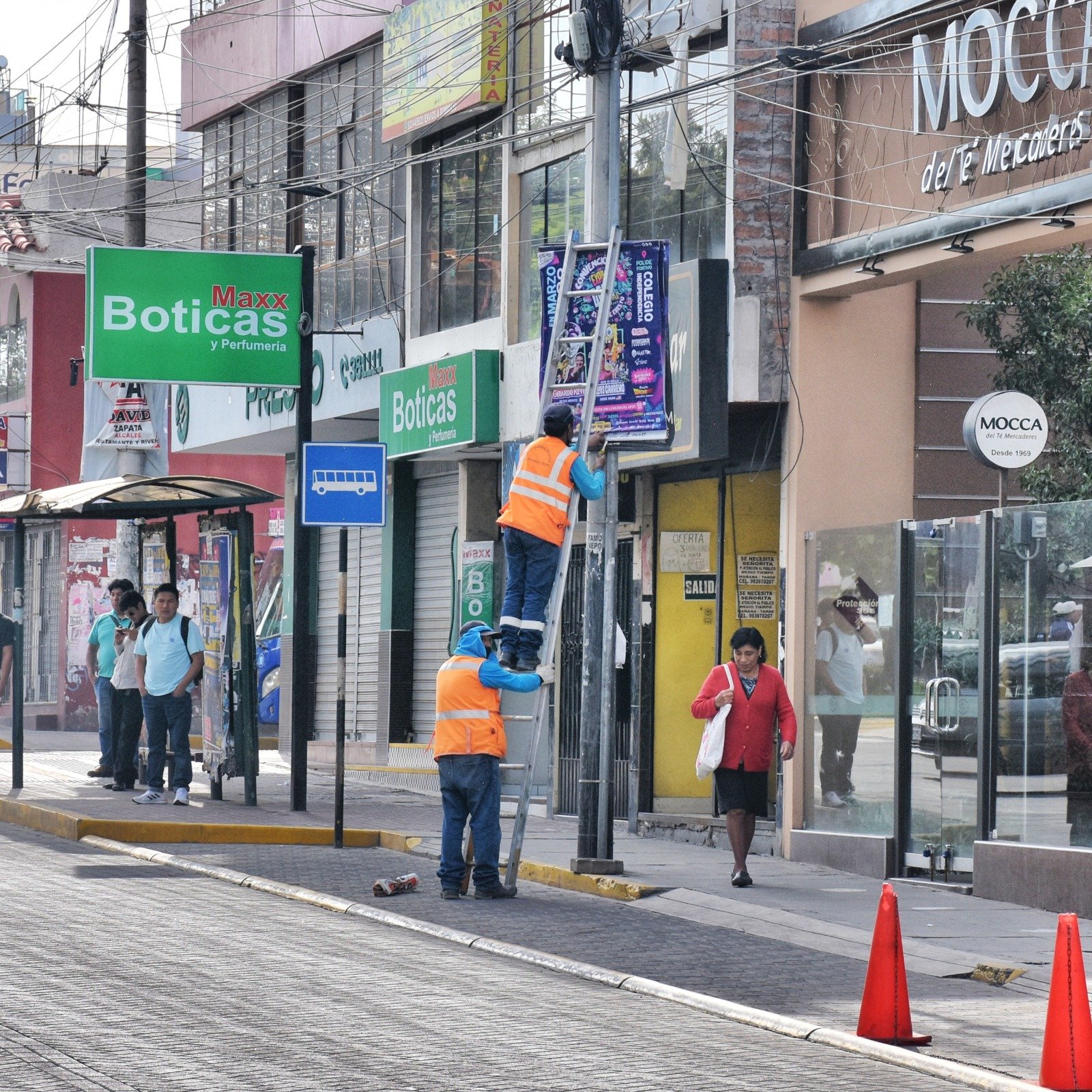 Retiran más de un centenar de carteles publicitarios en JLByR