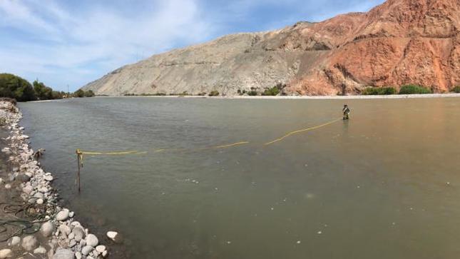 Río Ocoña aumenta su caudal e ingresa en alerta roja