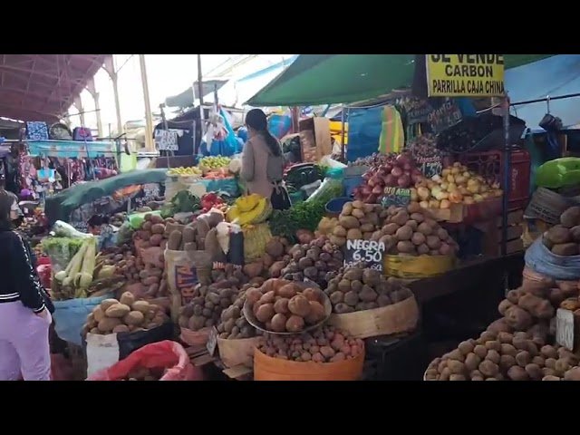 Precio de las frutas y verduras en el mercado San Camilo al 12/02/2023