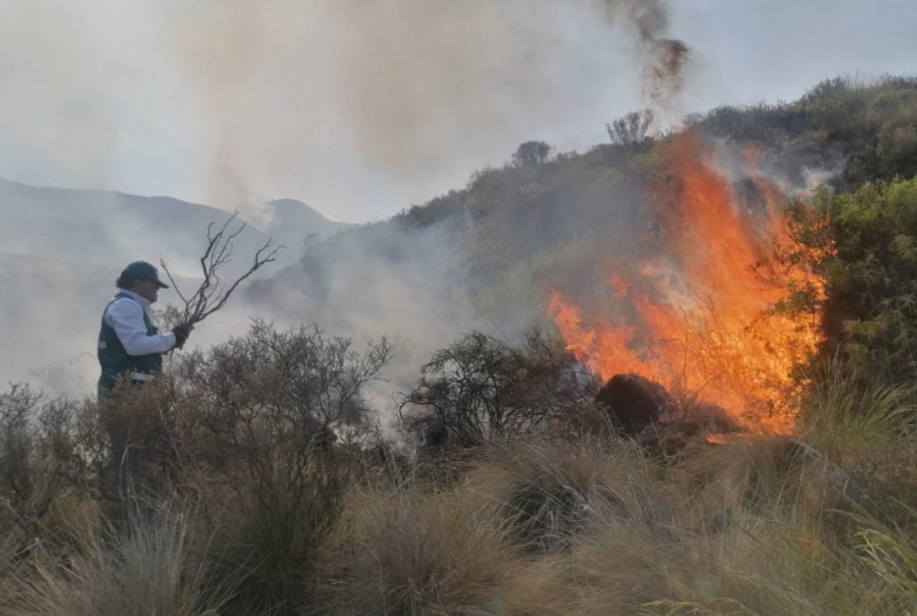 Incendios forestales aumentarán este año debido a las pocas precipitaciones