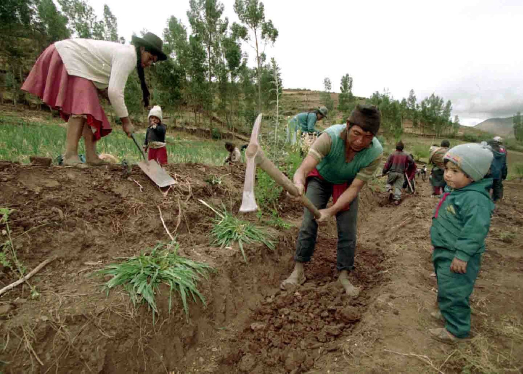 Agricultores tardarán 6 meses en recuperarse de las lluvias