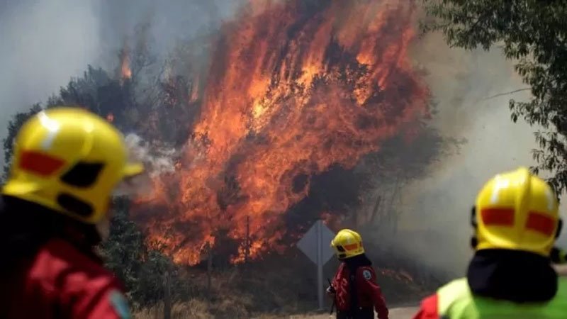 Aumentan a 26 los fallecidos por los incendios forestales