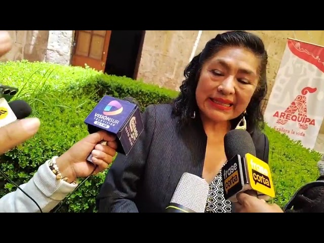 Declara coordinadora de Artesanos en Arequipa, Noemí Molina, por el registro de estos mismos.