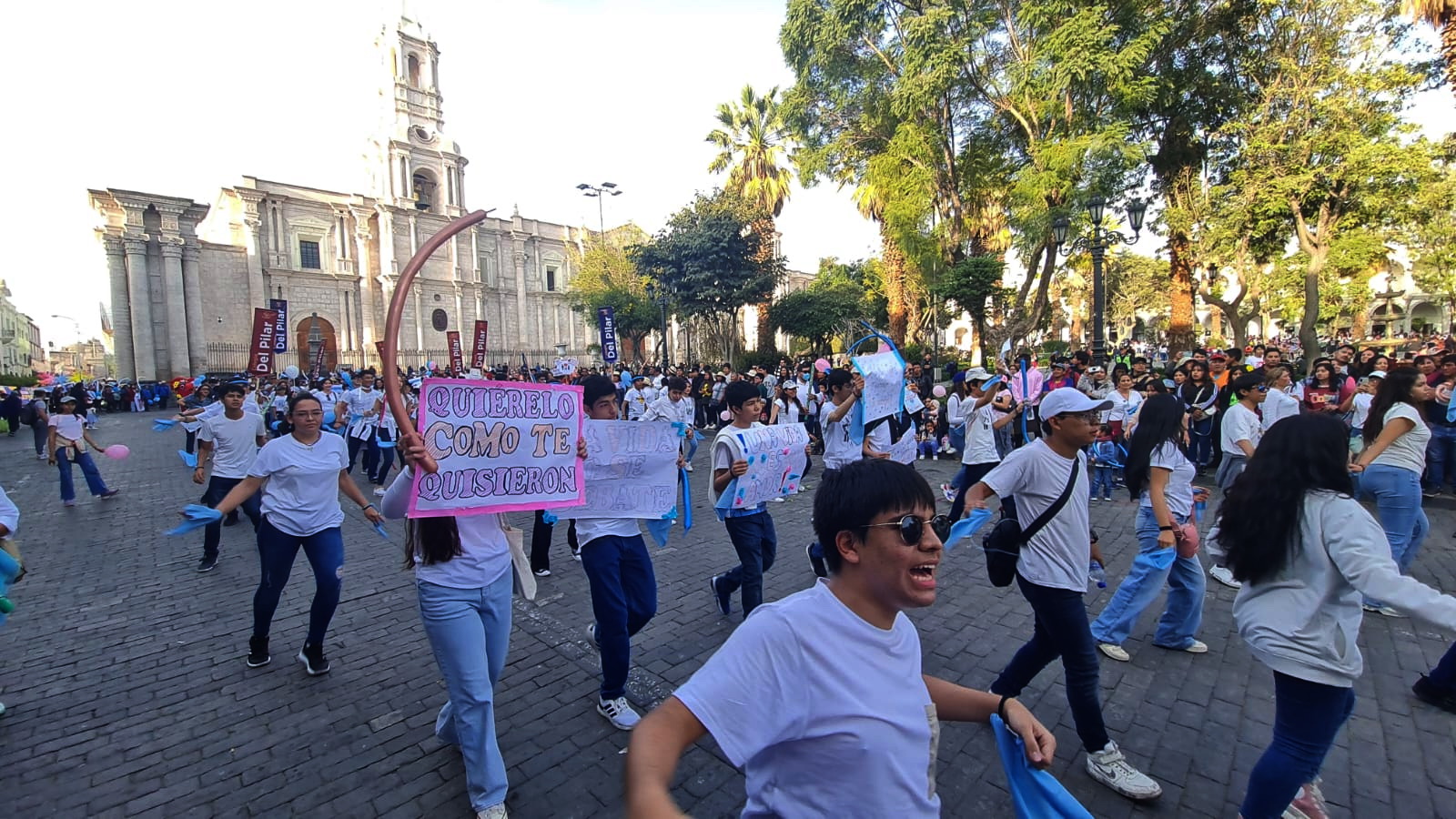 Miles de personas participaron del Corso por la Vida y la Familia