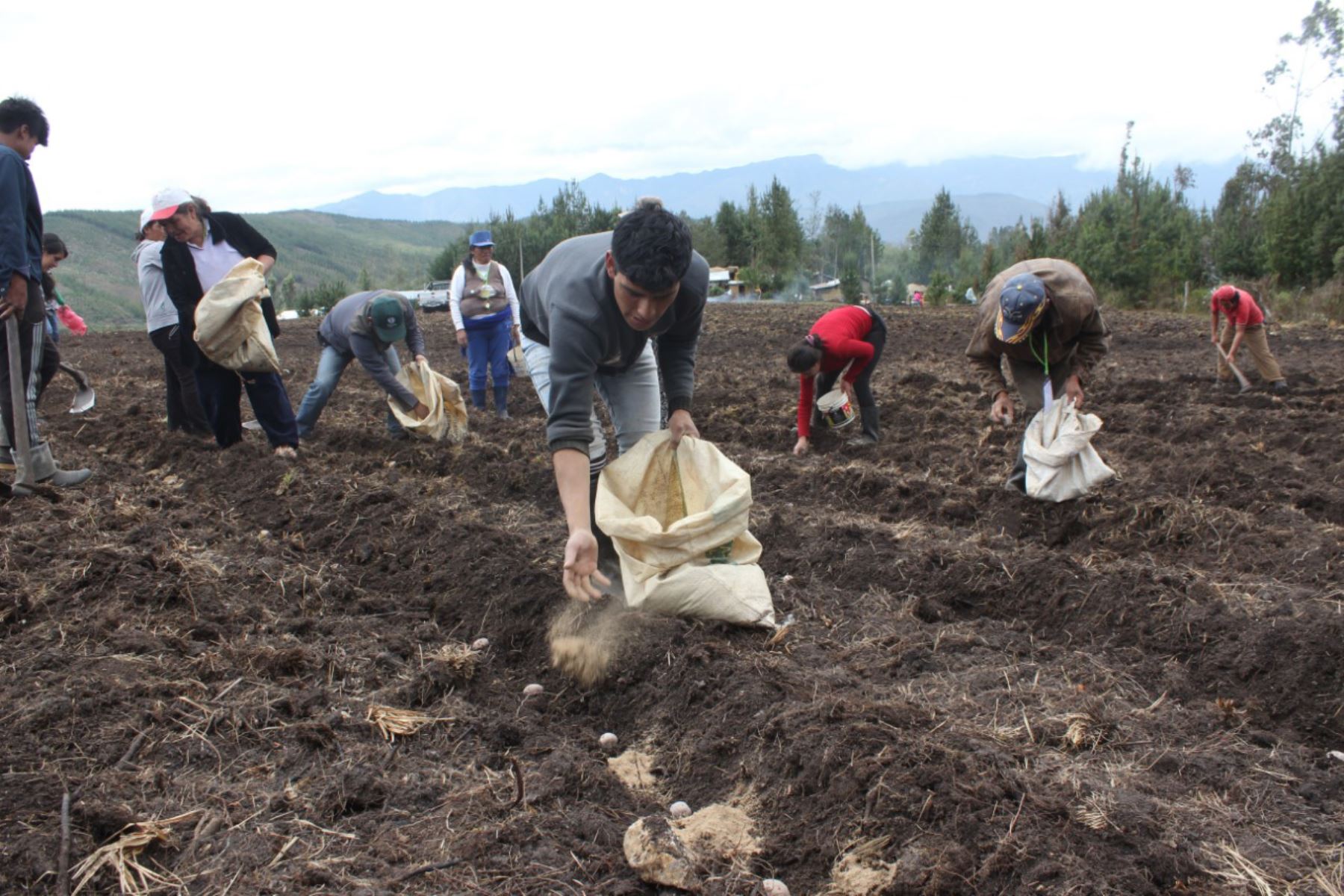 Casi 50 mil productores de la región afectados por la crisis económica