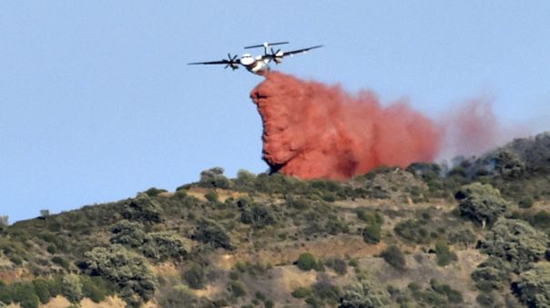 Incendio en los Pirineos franceses arrasó alrededor de 1 000 hectáreas