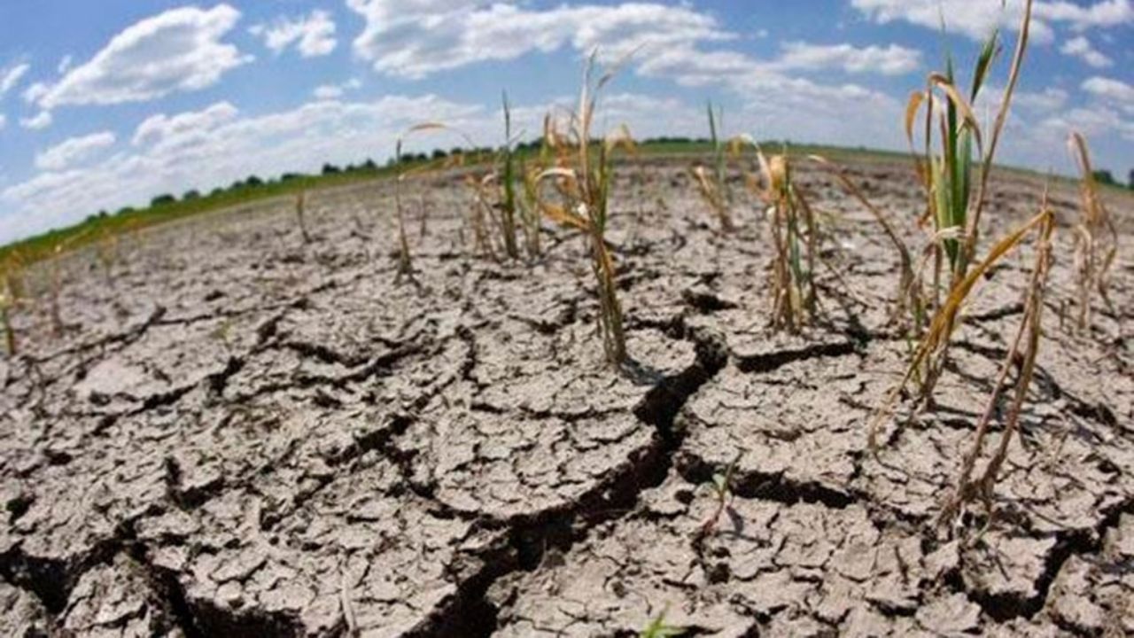 CAMBIO CLIMÁTICO: Ciencia y tecnología en el agro como estrategia