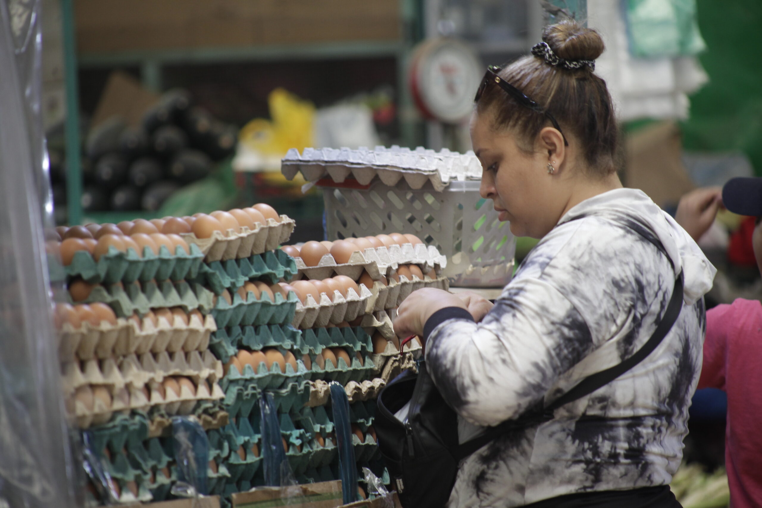 Producción de pollo y huevos: Senasa declara emergencia 90 días