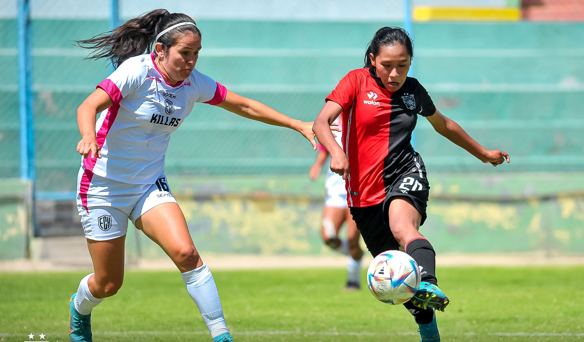 Leonas fueron vencidas en los Andes de Cutervo