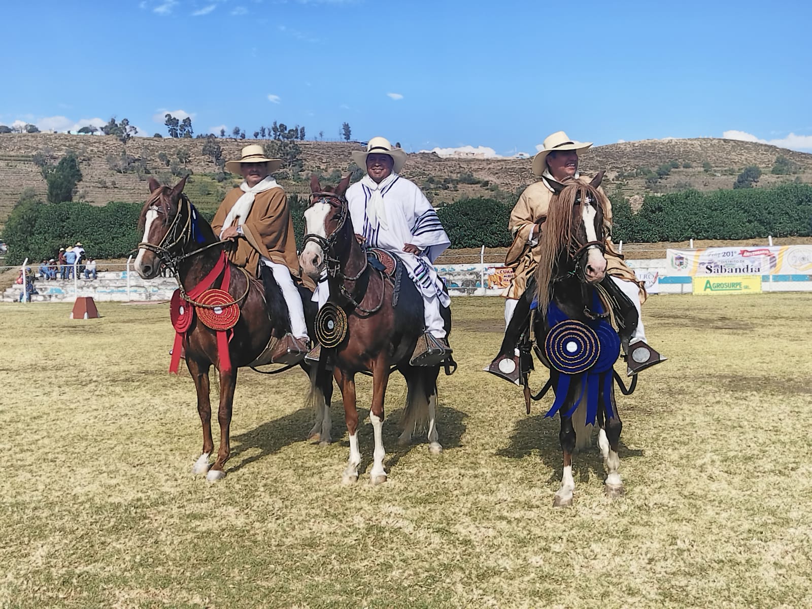 Masiva concurrencia en el concurso de Caballos de Paso