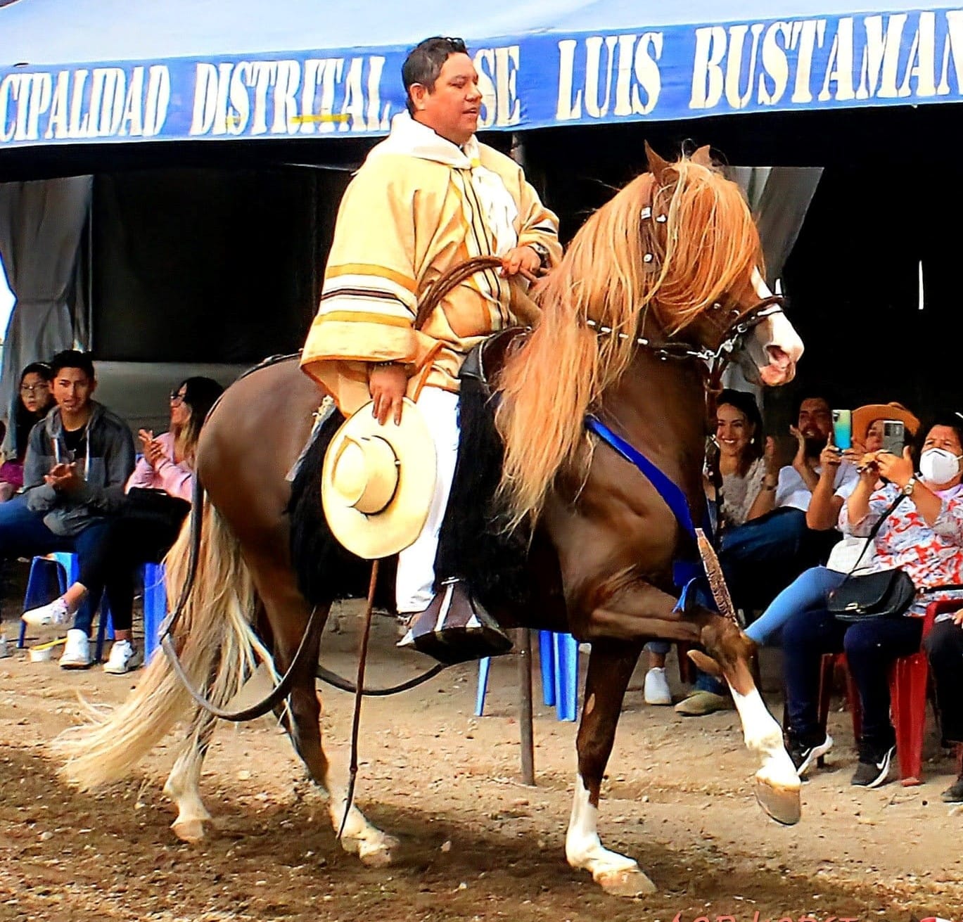 Concurso de Caballos de Paso en Sabandía el  6 y 7 de mayo