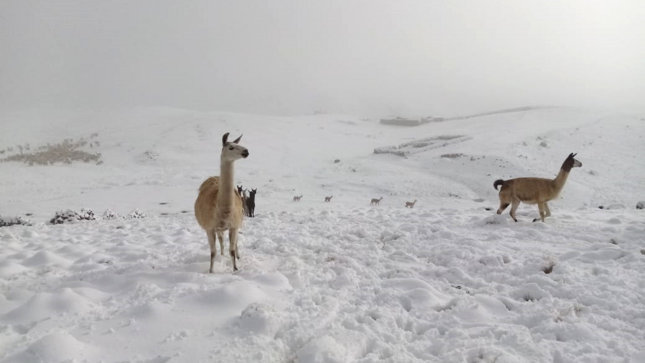 Intenso frío, nieve y granizo en las zonas altas desde hoy