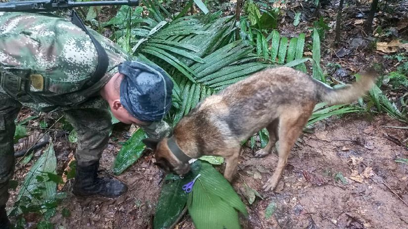 niños de la etnia huitoto deambulan por la selva de Colombia tras la caída de una avioneta el 1 de mayo