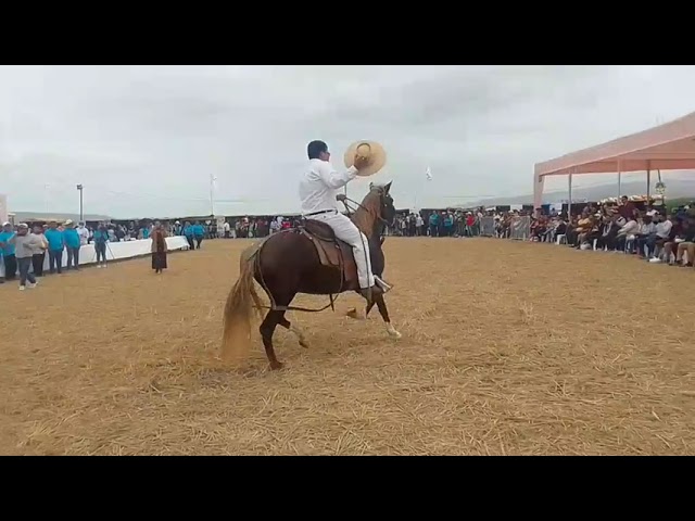 Festival del arroz en Cocachacra