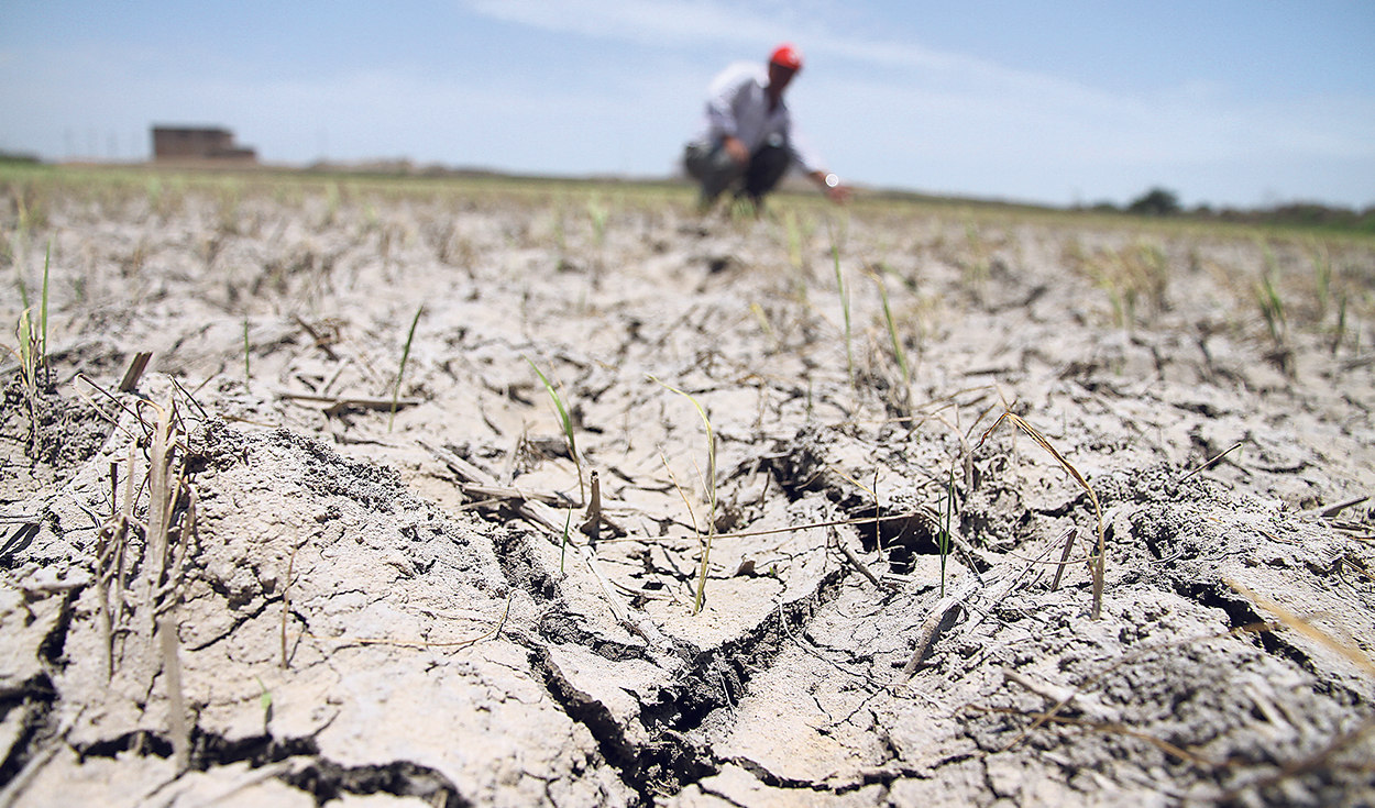 Escasez de agua afectara a minería