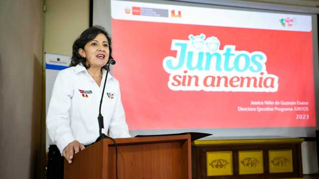 Implementarán proyecto “Juntos sin anemia” en niños    