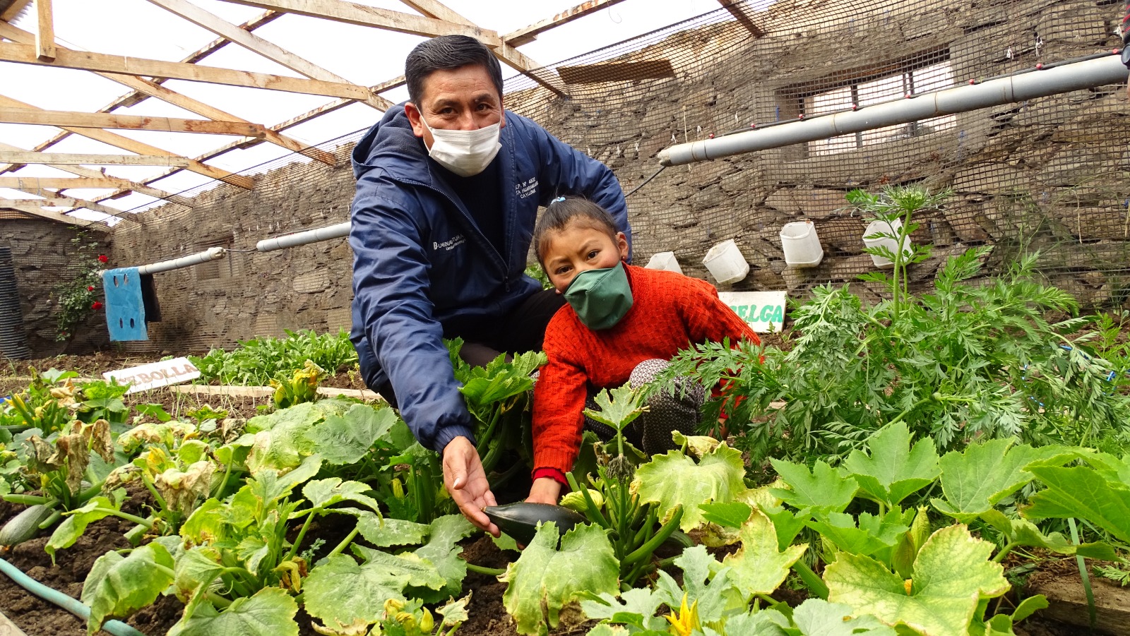 Docente impulsa cultivos para mejorar la alimentación de escolares