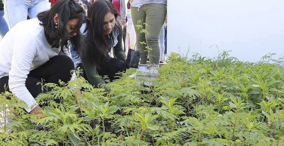 Hace medio siglo se instituyó el Día Mundial del Medio Ambiente