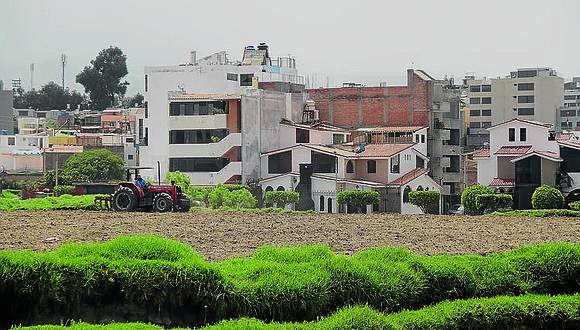 Alertan reducción de comunidades campesinas por tráfico de terrenos