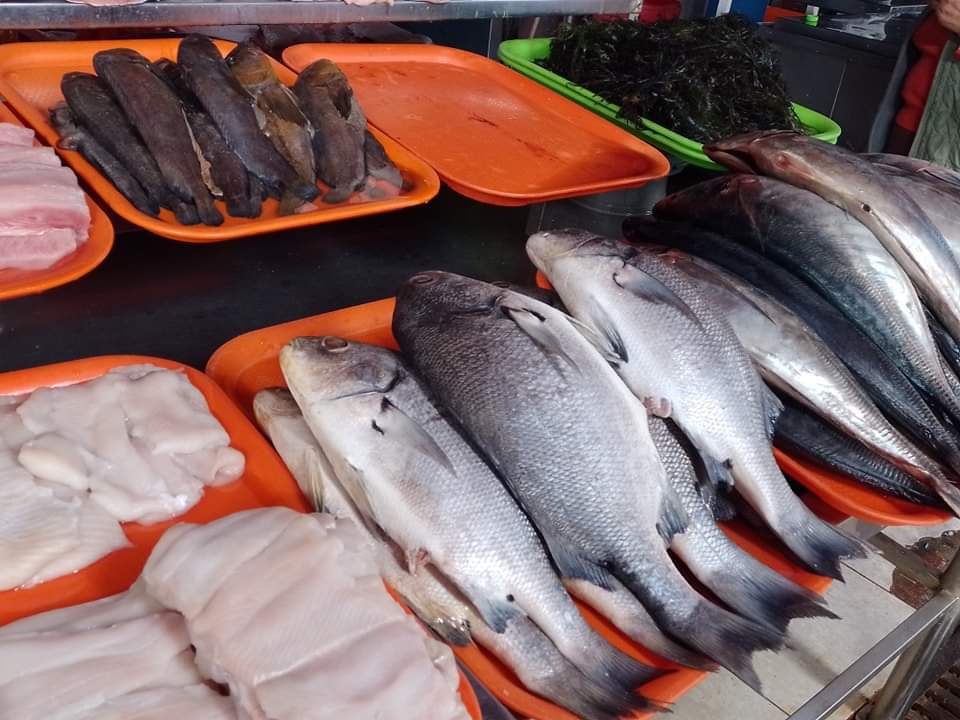 Bajan los precios de algunos pescados en el Mercado El Palomar