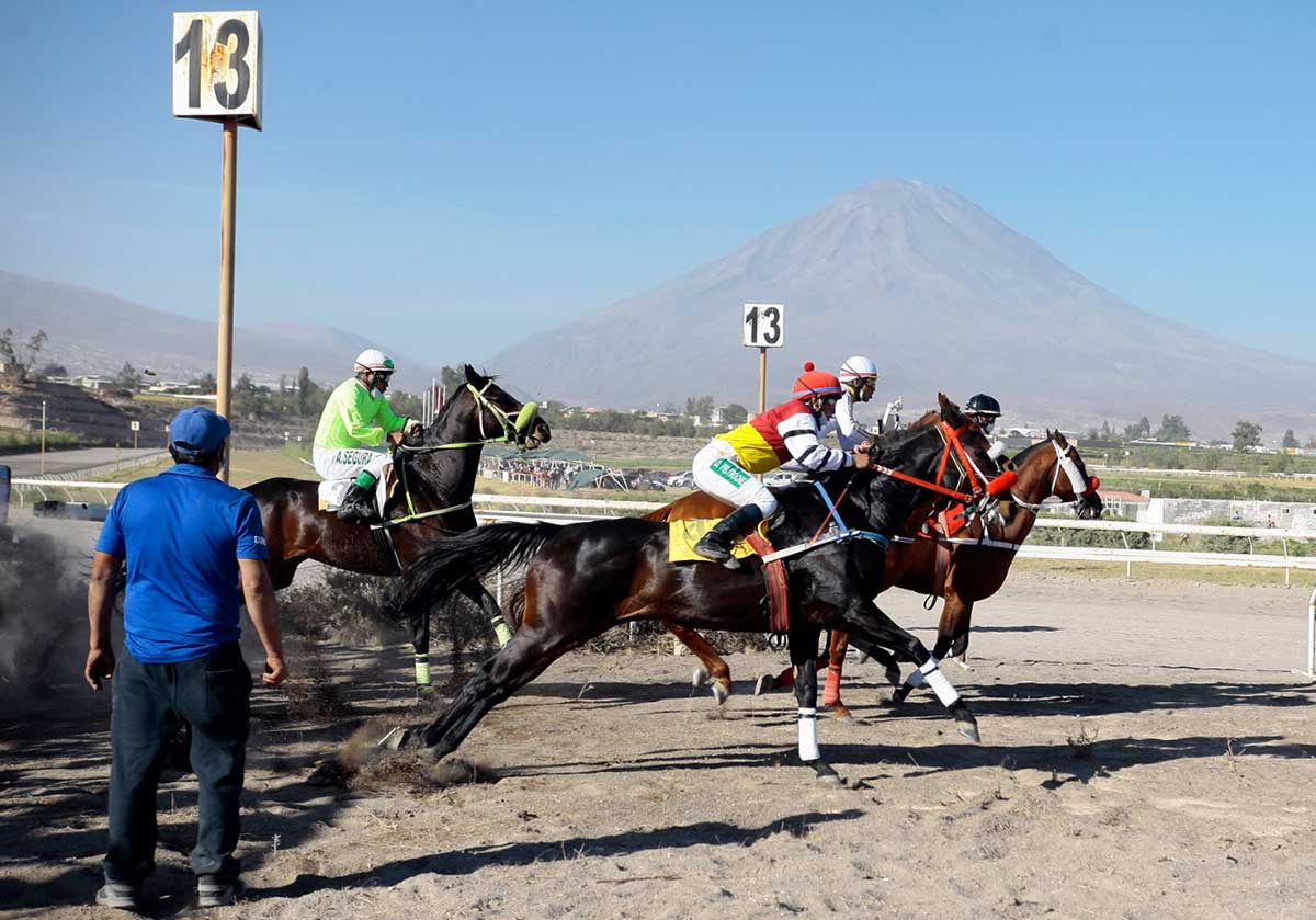 Atractivas carreras mañana en el Hipódromo Arequipa