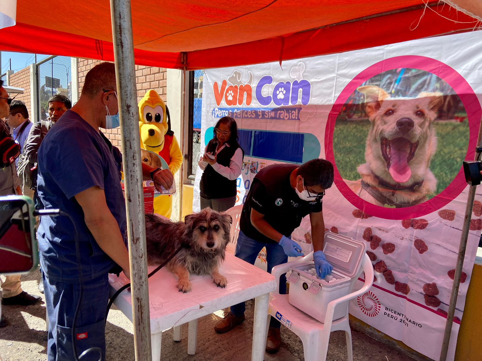 Vacunación contra la rabia canina por debajo de las cifras esperadas