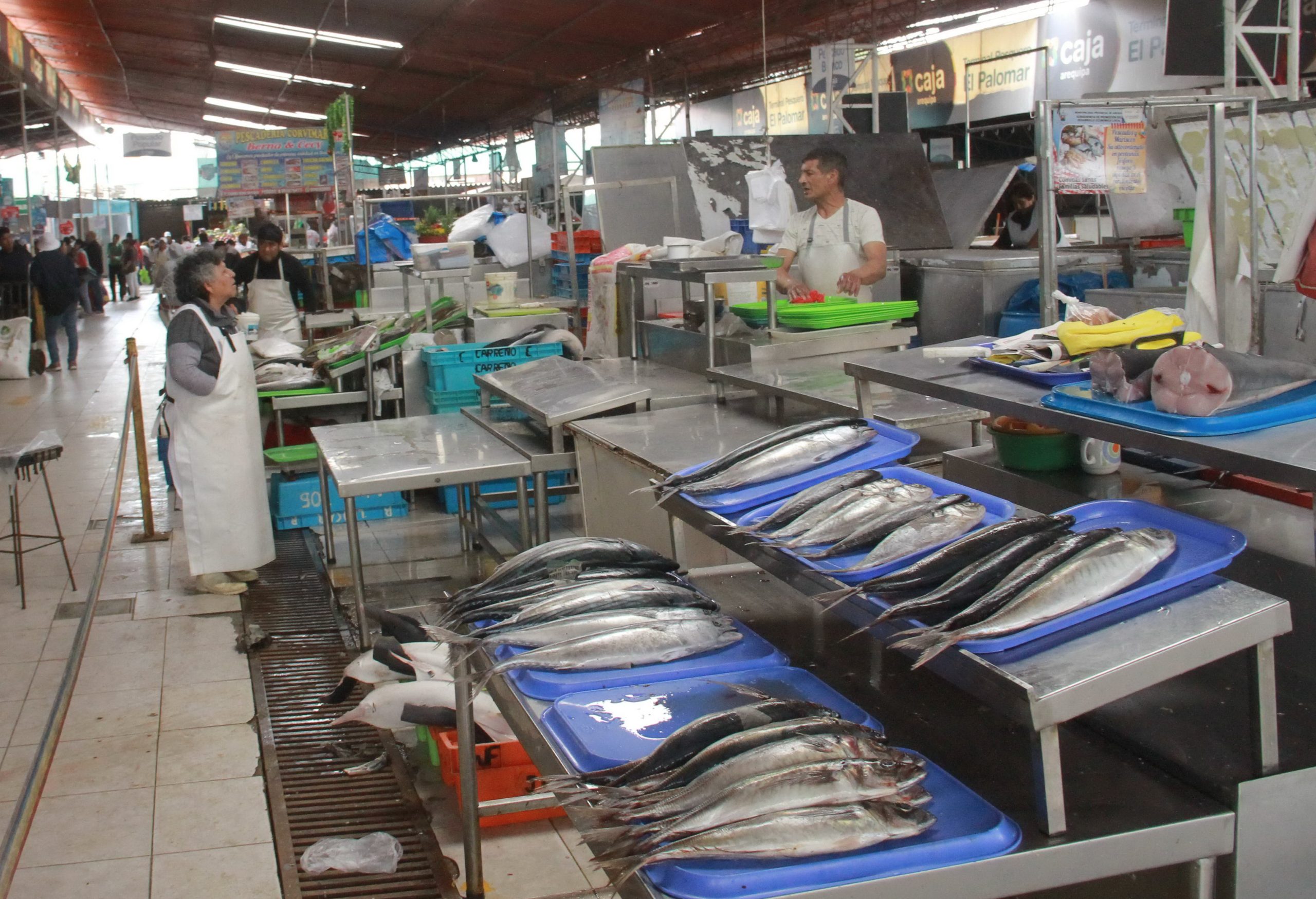 Bajan los precios del pescado en el Mercado El Palomar