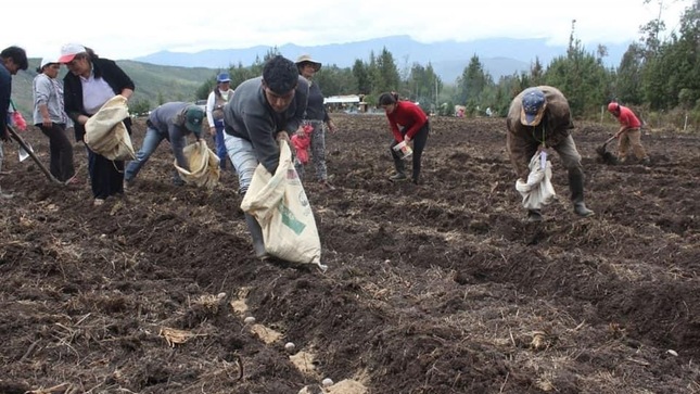 Junta de más de 3 mil 300 agricultores arequipeños en riesgo de desaparecer