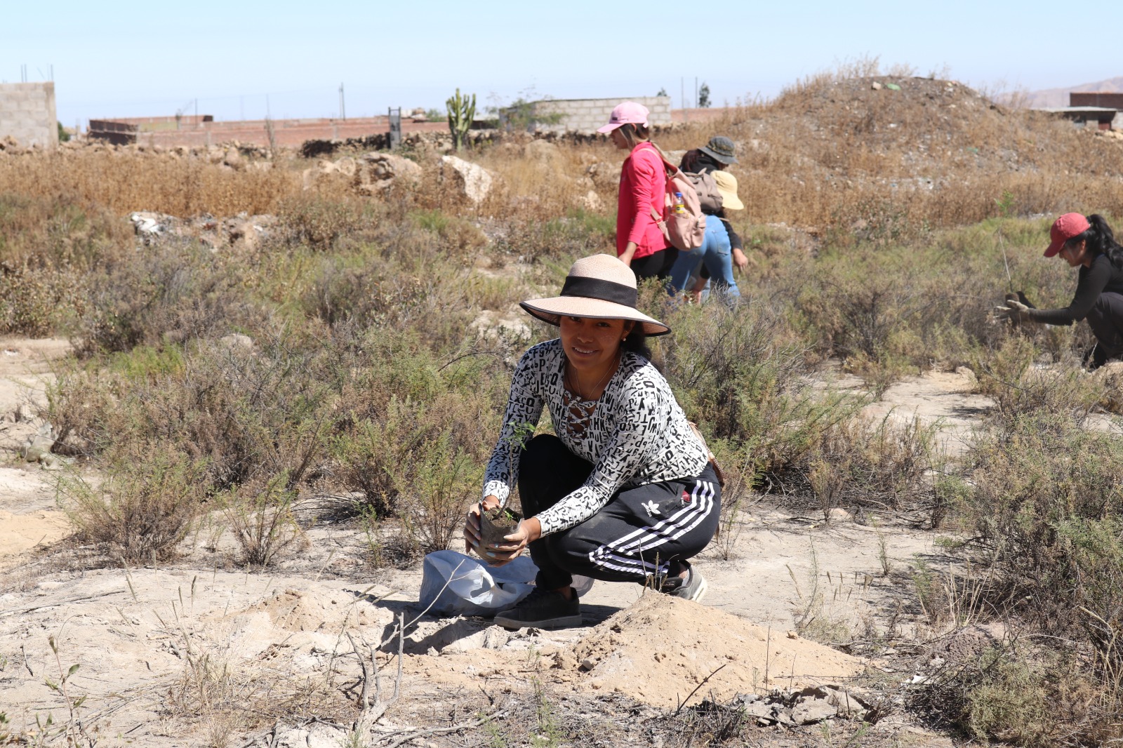 Plantan 300 árboles en Ecoparque de Arequipa diversas instituciones