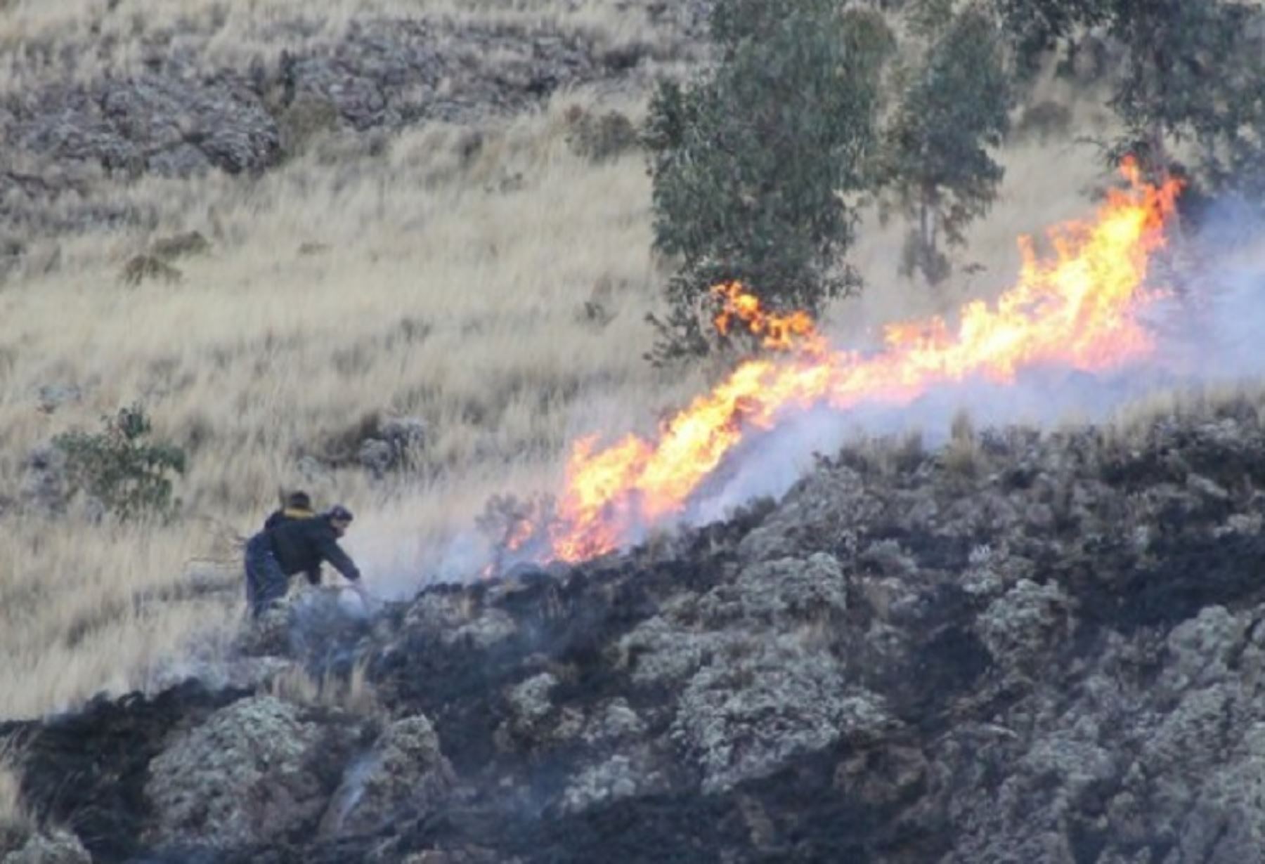 El 98 % de incendios forestales es causado por la acción humana