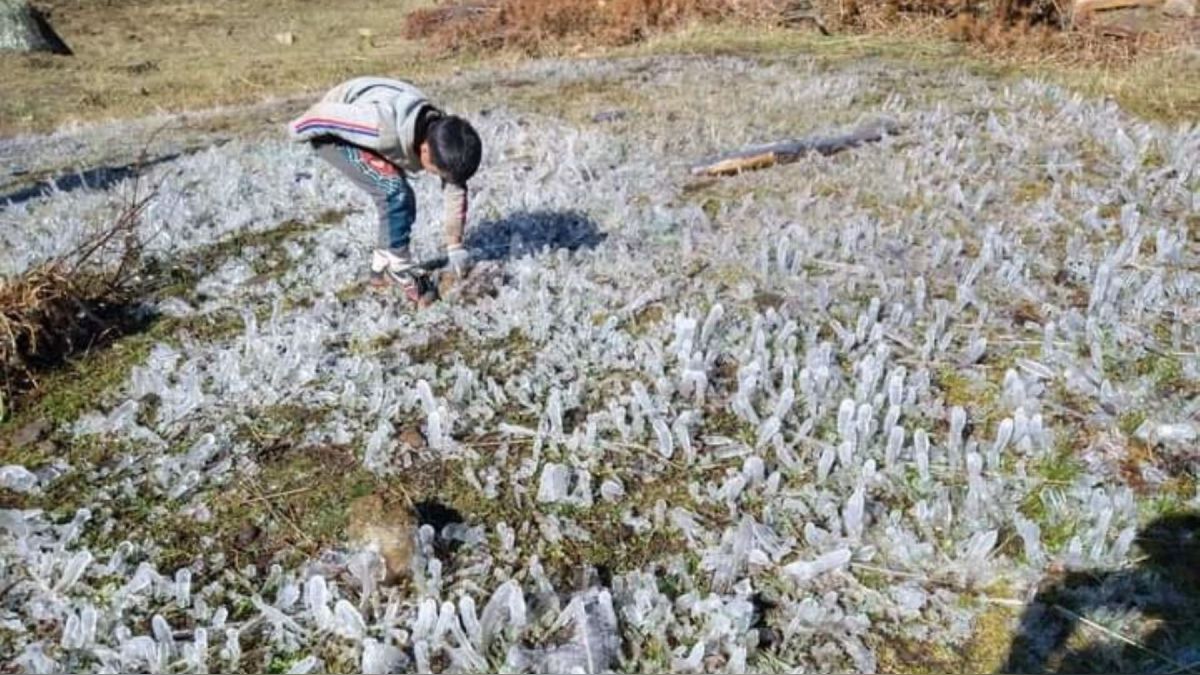 En riesgo 3.6 millones de hectáreas de cultivo