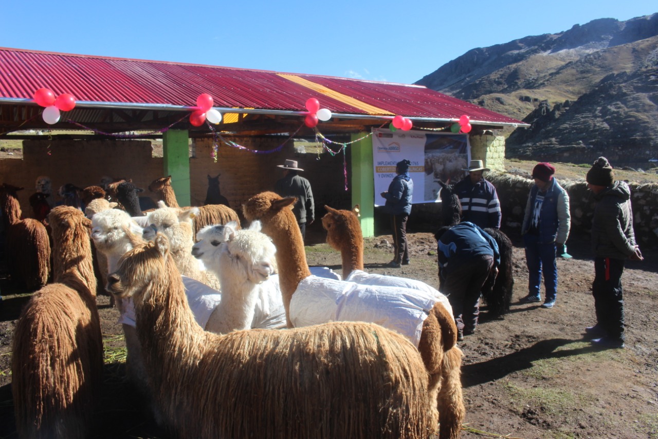 Entregarán módulos de protección para cultivos y ganado ante heladas y friaje