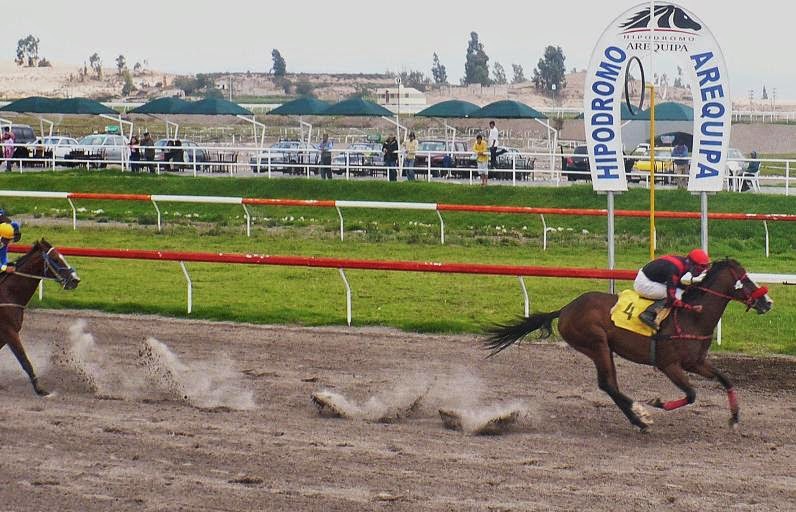 Clásico Ejército del Perú se corre mañana en el hipódromo Arequipa