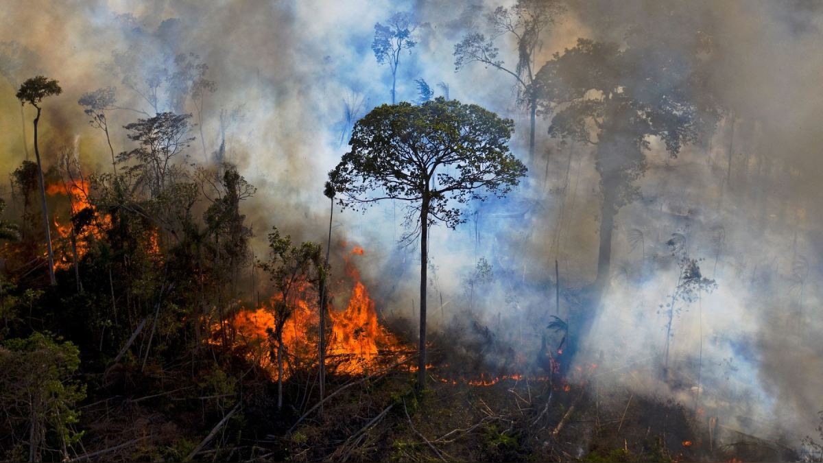 Perder la Amazonía tendría “consecuencias irreversibles”