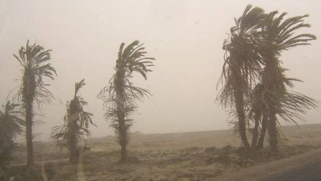 Fuertes vientos de hasta  33 Km/h azotarán el litoral