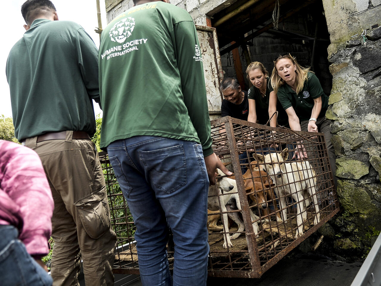 Mercado en Indonesia puso fin a la venta de carne de perro y de gato