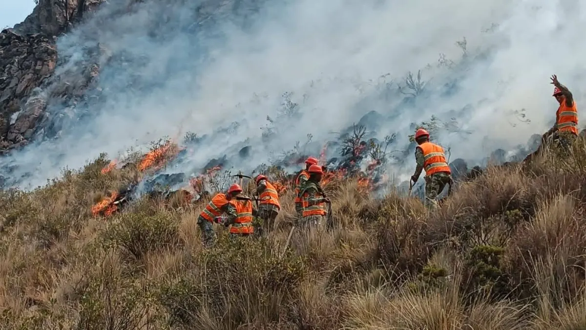 Tuti no estaba preparada para incendio que arrasó 3 mil hectáreas