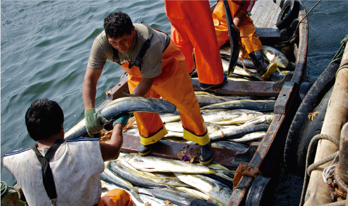 Fenómeno del niño causará veda forzosa de especies marinas