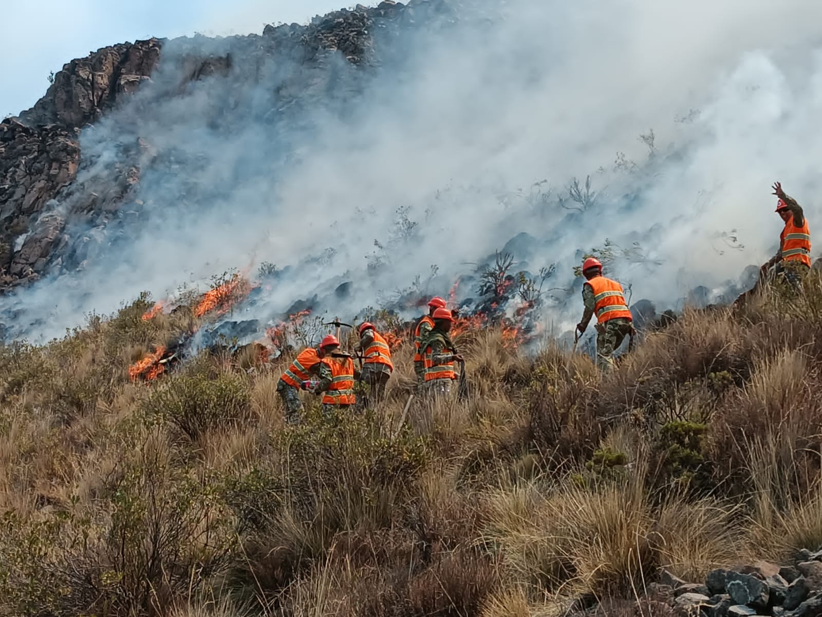 Incendio forestal afecta más de 2,000 hectáreas de pastos y de cultivos