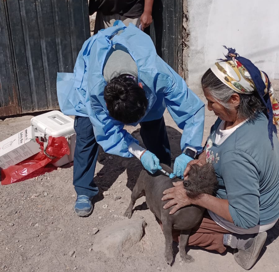 En lo que va del año más de 4 mil 222 personas han sido atendidas por mordedura de perro