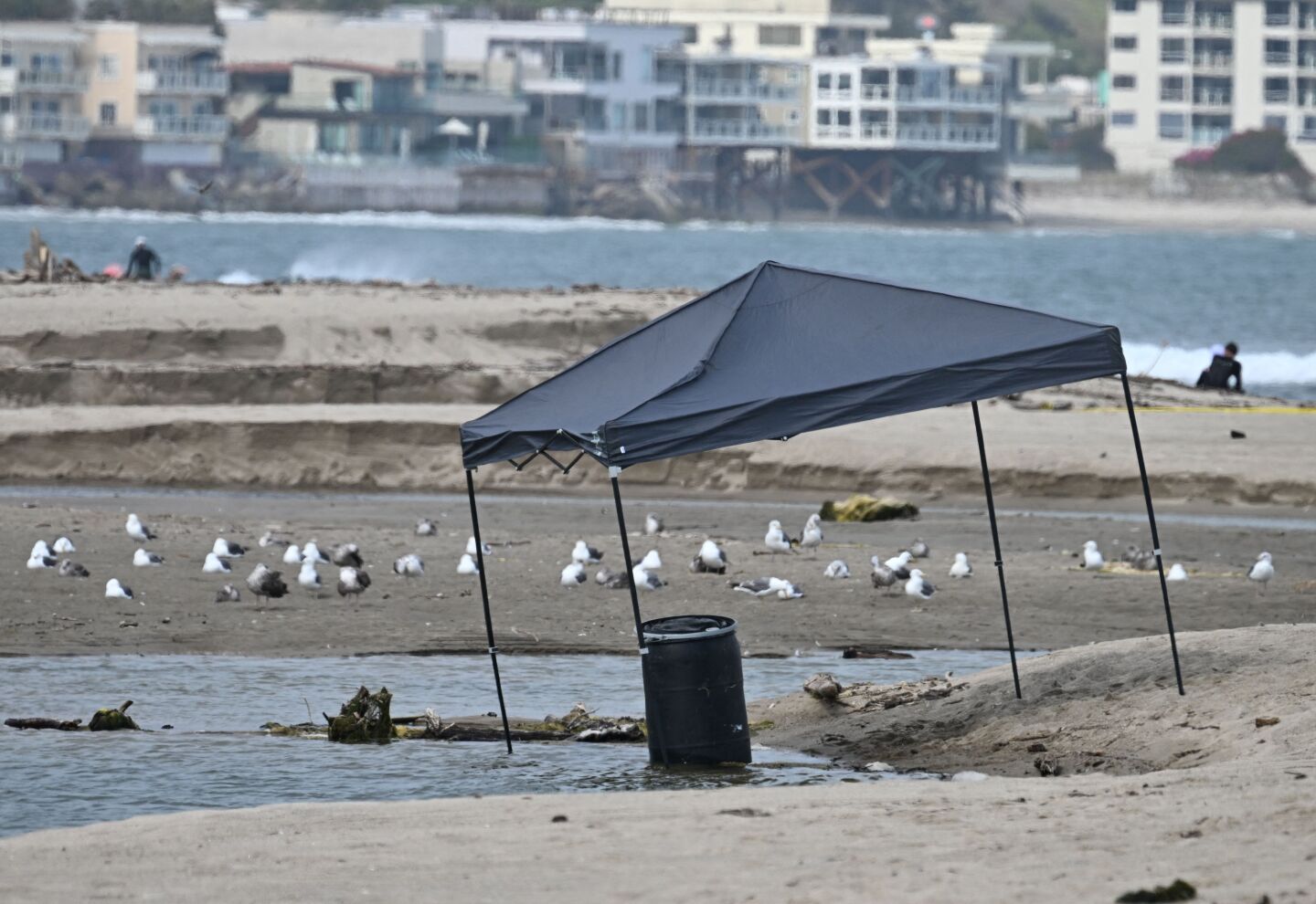 ESTADOS UNIDOS: Un cadáver dentro de un barril fue encontrado ayer, en la playa de Malibú