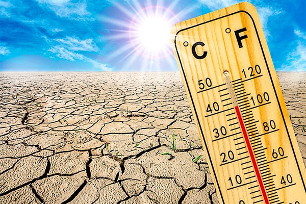 La Tierra es plana, el cambio climático no existe