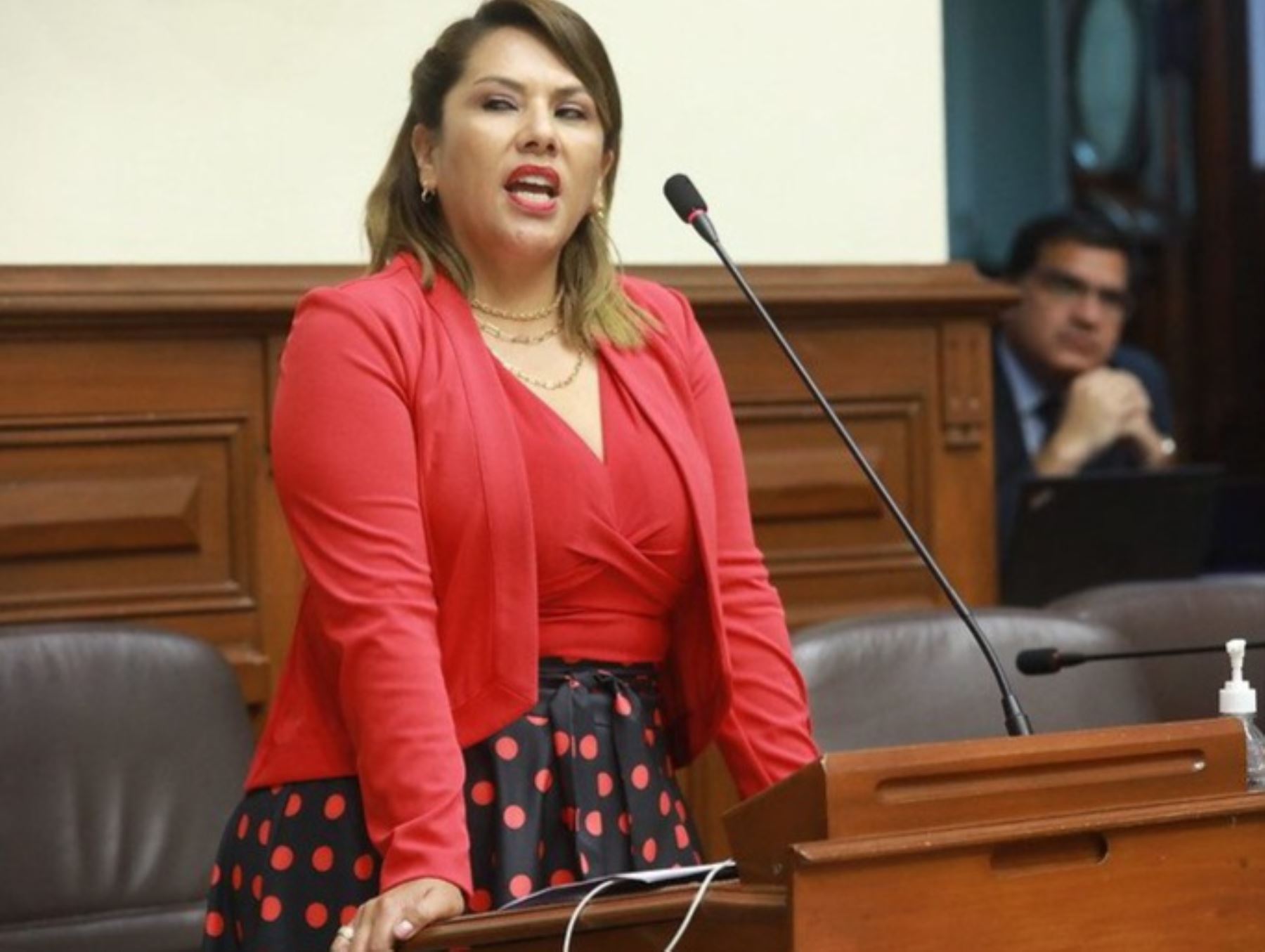 Subcomisión admite a trámite denuncia contra congresista Digna Calle