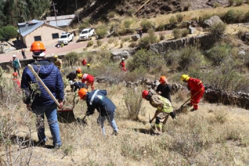 Conforman nueva brigada forestal en valle del Colca para prevenir incendios