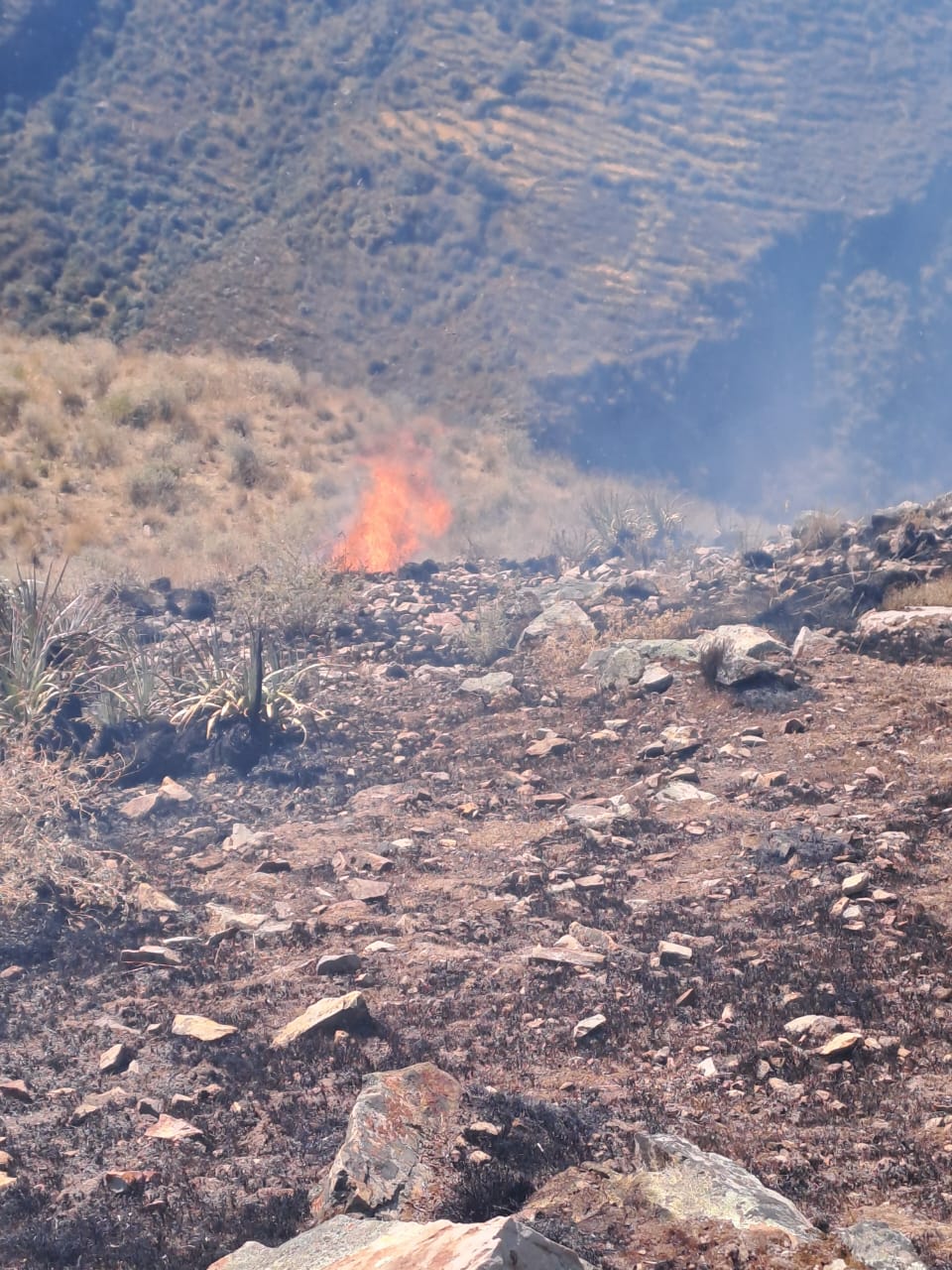 Reportan nuevo incendio forestal en Machaguay