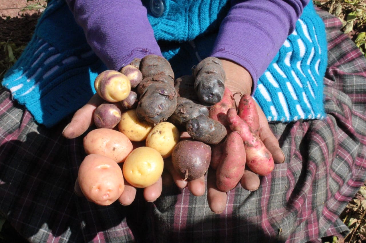 Cotahuasi es la octava zona de agrobiodiversidad del Perú para el mundo