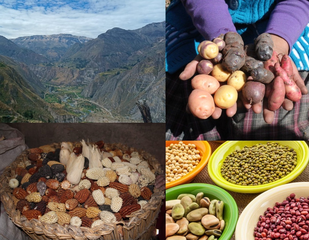 Cotahuasi es considerada la octava zona de Agrobiodiversidad del Perú