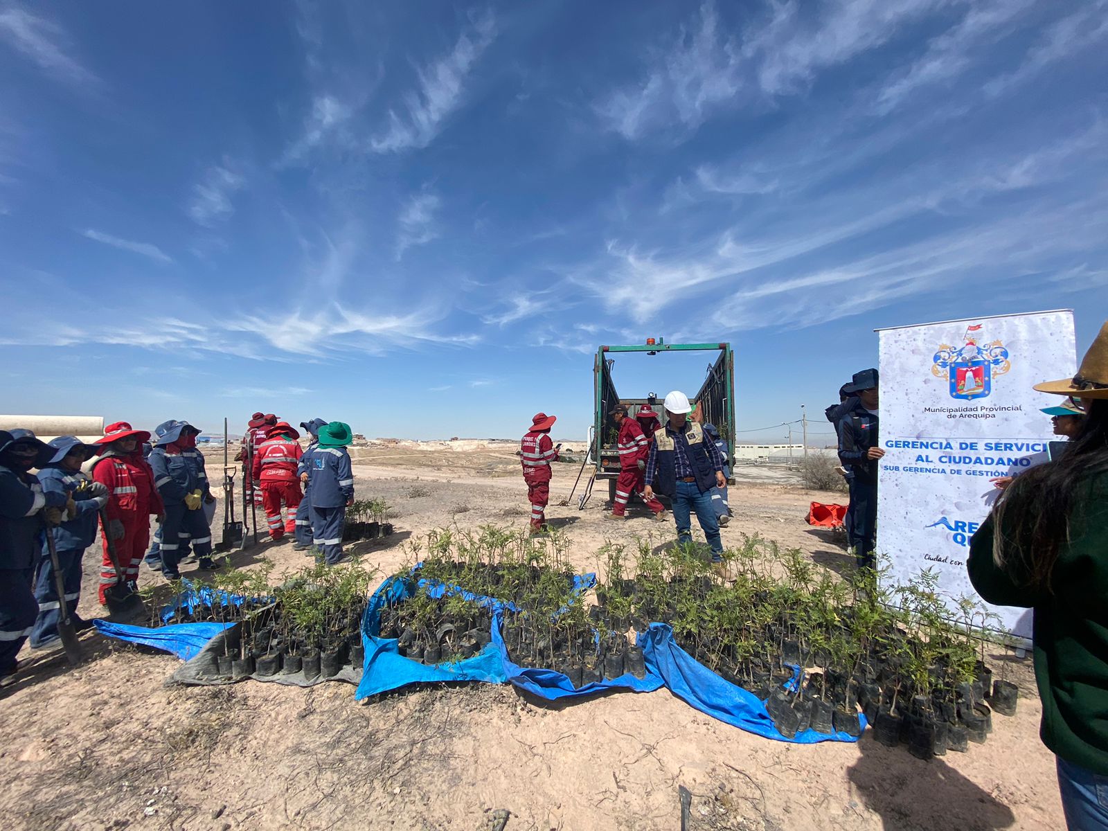 Plantaron 1000 árboles en alrededores de planta La Escalerilla