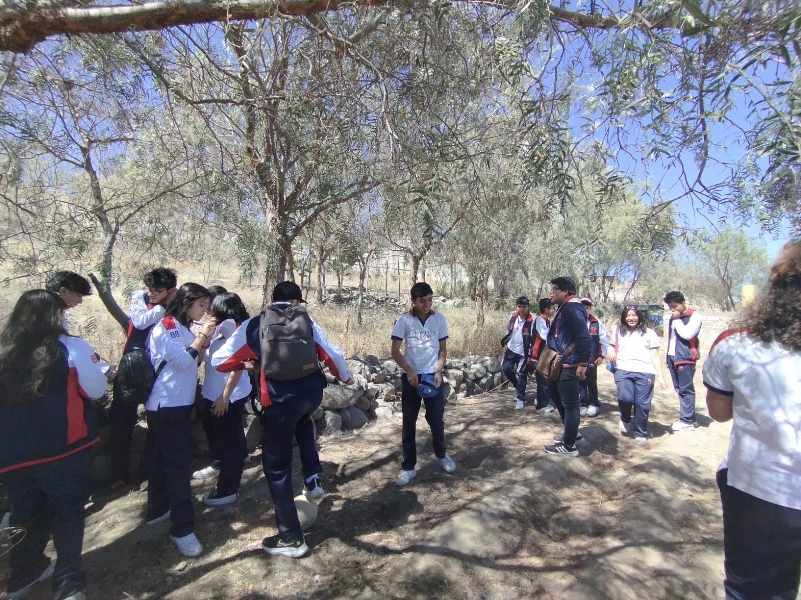 Beneficencia implementa biohuerto en albergue con apoyo de escolares