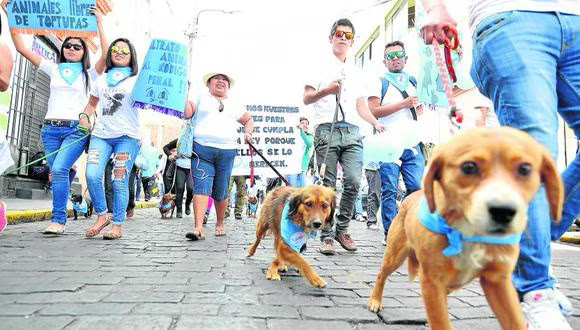 Canes desfilaron en el Centro Histórico de Arequipa